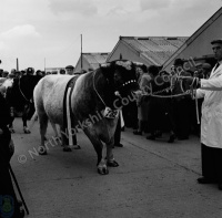 Great Yorkshire Show, 1960